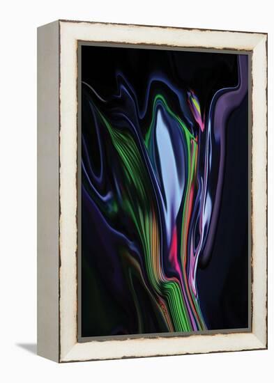 Unknown Flower-Rabi Khan-Framed Stretched Canvas