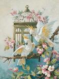 Cockatiel and Roses-unknown Johnston-Stretched Canvas