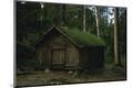 Photographic Print