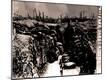 Photographic Print