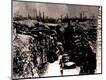 Photographic Print