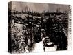 Stretched Canvas Print