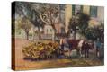 Stretched Canvas Print