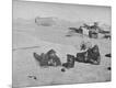 Photographic Print