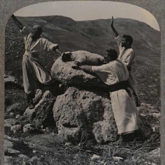 Photographic Print, , large