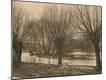 Photographic Print