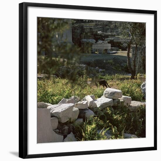 Photographic Print, , large