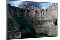 Photographic Print