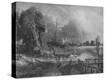 Stretched Canvas Print