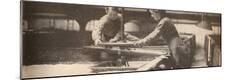 Photographic Print