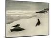Photographic Print