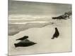 Photographic Print
