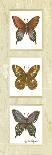 Butterfly Panel-unknown Sibley-Art Print