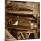 Photographic Print