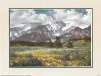 Tocky Mountains-unknown Sorenson-Art Print