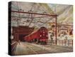 Stretched Canvas Print