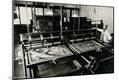Photographic Print