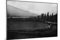 Photographic Print