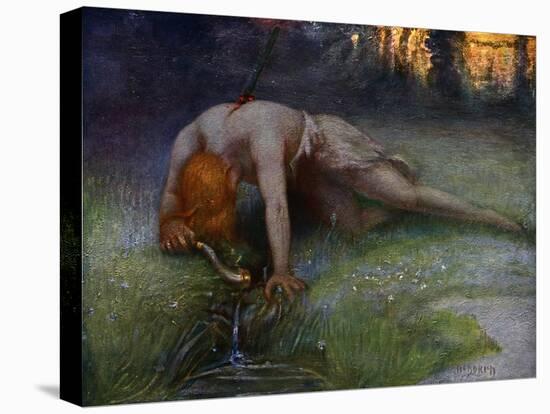 Stretched Canvas Print, , large