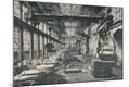 Photographic Print
