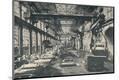 Photographic Print