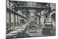 Photographic Print
