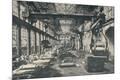 Photographic Print