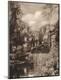 Photographic Print