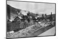 Photographic Print