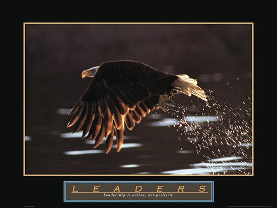 Photo, , large