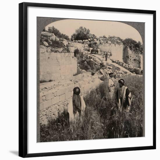 Photographic Print, , large