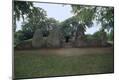 Photographic Print