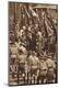 Photographic Print
