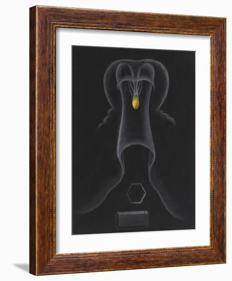 Unknown-Philip Henry Gosse-Framed Giclee Print