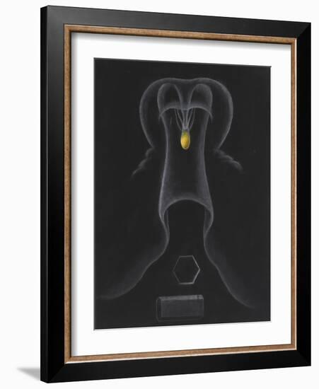 Unknown-Philip Henry Gosse-Framed Giclee Print