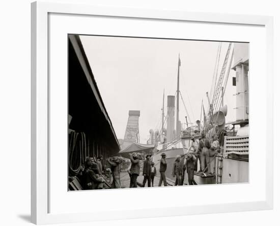 Unloading a Banana Steamer, Mobile, Ala.-null-Framed Photo