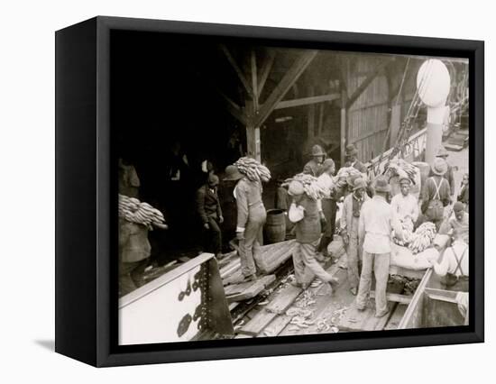 Unloading Bananas, Mobile, Ala.-null-Framed Stretched Canvas