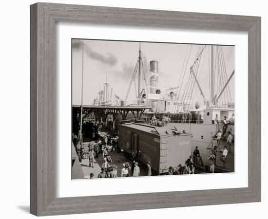 Unloading Bananas, New Orleans, La.-null-Framed Photo