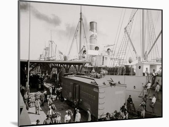 Unloading Bananas, New Orleans, La.-null-Mounted Photo