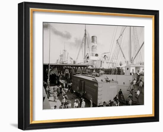 Unloading Bananas, New Orleans, La.-null-Framed Photo