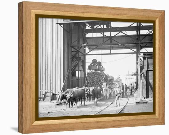 Unloading Cane at a Modern Mill-null-Framed Stretched Canvas