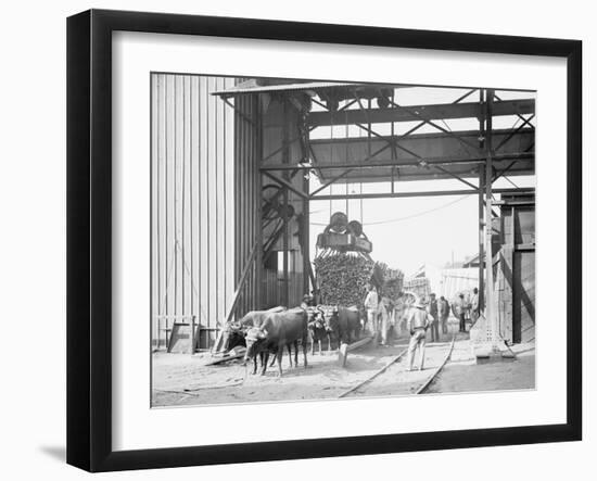 Photo, , large