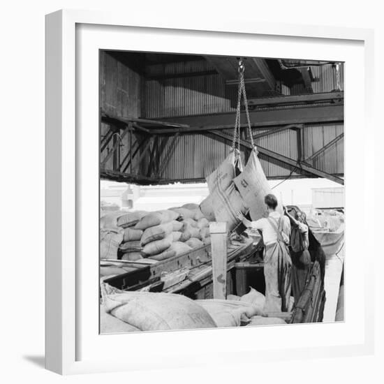 Unloading Cocoa Beans from a Barge-Heinz Zinram-Framed Photographic Print