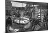 Unloading Frozen Meat from Australia, South West India Dock, Millwall, London, 1881-null-Mounted Giclee Print