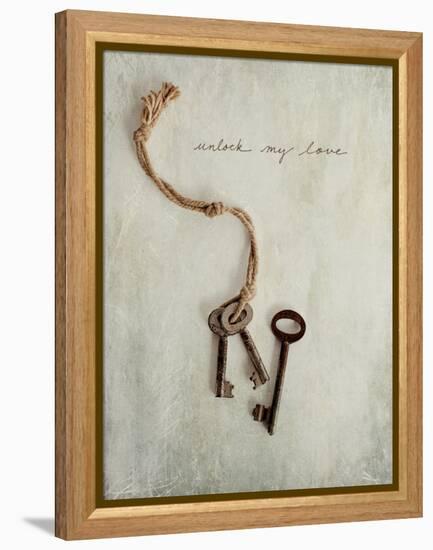 Unlock My Love-Susannah Tucker-Framed Stretched Canvas