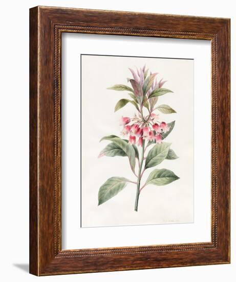 Unnamed, 1827-Louise D'Orleans-Framed Giclee Print