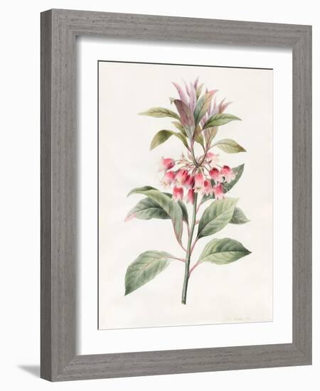 Unnamed, 1827-Louise D'Orleans-Framed Giclee Print