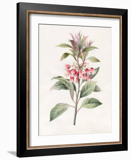 Unnamed, 1827-Louise D'Orleans-Framed Giclee Print