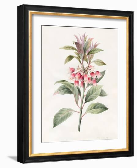 Unnamed, 1827-Louise D'Orleans-Framed Giclee Print