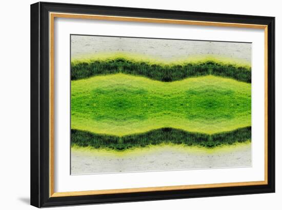 Unnatural 2.1-Giovanni Cafagna-Framed Giclee Print